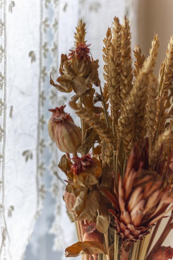 Garden Apartment - Smart Holiday Mantova Bagian luar foto